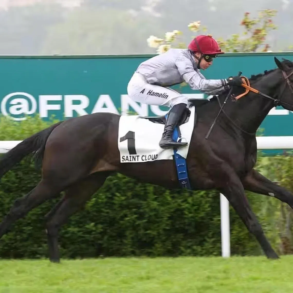 The Mikel Delzangles-trained Alam (Antoine Hamelin) recording an easy win in the Group 3 Prix Greffulhe (2,100m) at Saint-Cloud on May 5.

PHOTO: SCOOPDYGA