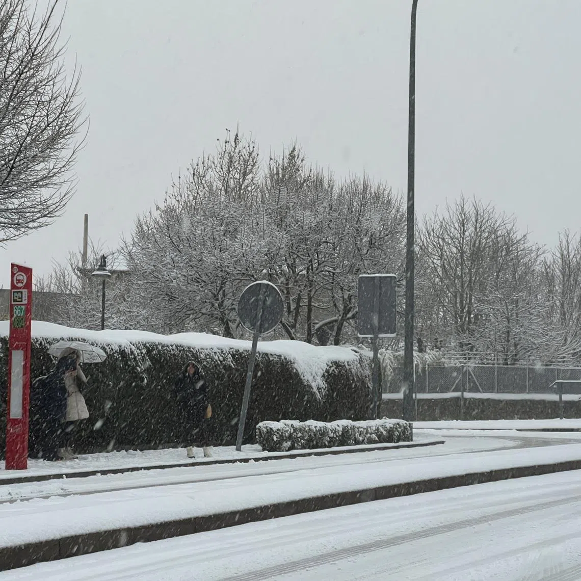 People wait for a bus in the snow as storm Kristin hits several parts of Spain and Portugal, in Galapagar, on the outskirts of Madrid, Spain, January 28, 2026. REUTERS/Silvio Castellanos