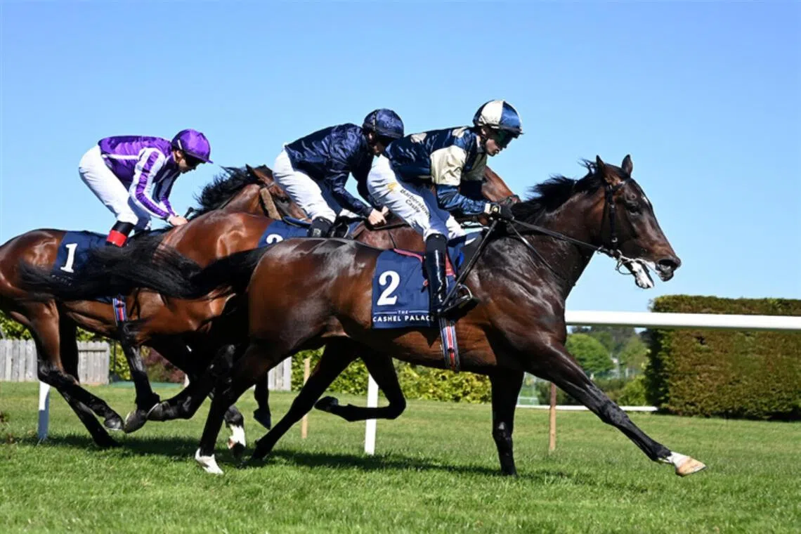 ames J Braddock (Dylan Browne McMonagle) winning the Group 3 Derby Trial Stakes (2,000m) at Leopardstown in Ireland on May 10.


