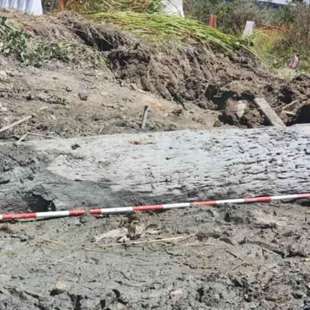 Preliminary studies revealed the ship was made of saga wood.