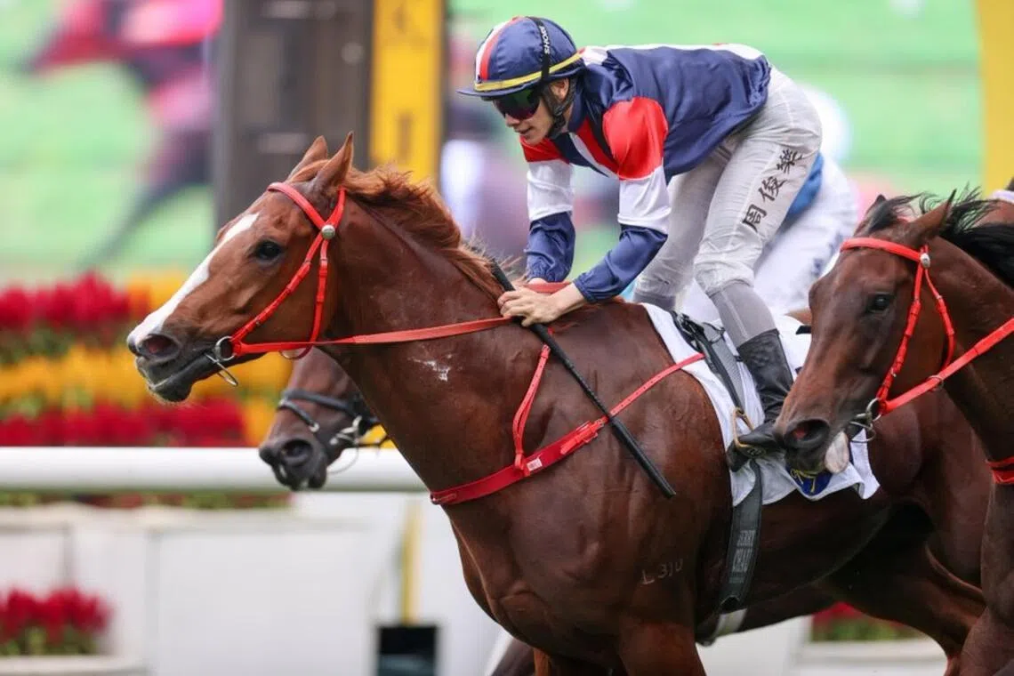 The Frankie Lor-trained Effortless Win (Jerry Chau) scoring on debut in a Class 3 over 1,200m at Sha Tin on May 9. 