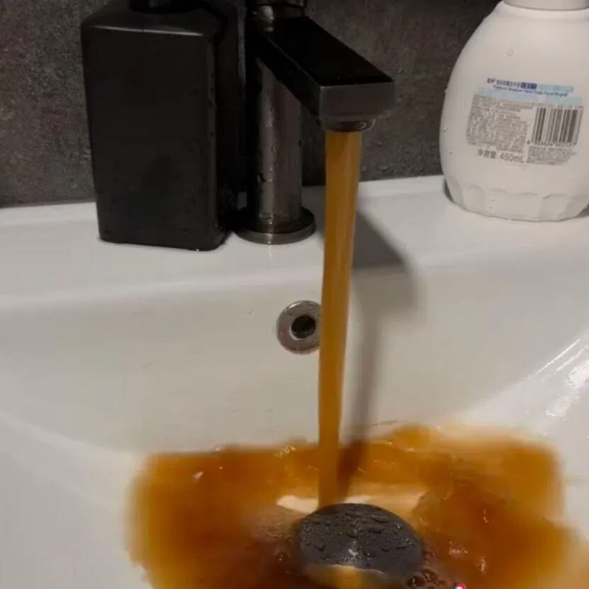 A resident said the discoloured water that flowed from her taps emitted a metallic scent and appeared intermittently throughout the day.
