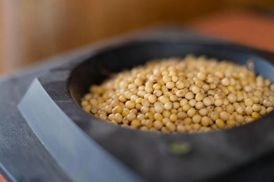 Chinese importers have not yet bought soybeans from the autumn US harvest, costing US farmers billions of dollars in lost sales.