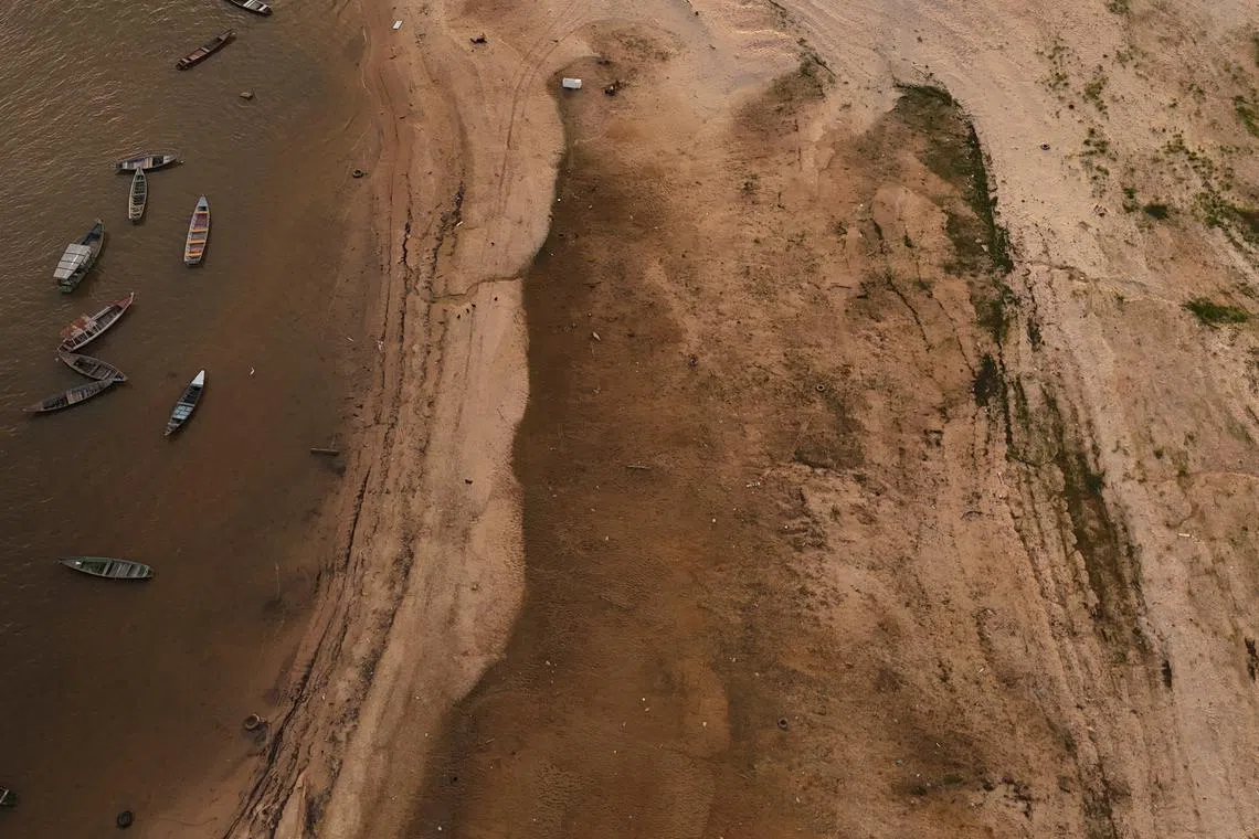 FILE PHOTO: A drone view shows the dry banks of Rio Amazonas during a drought in Santarem, Para state, Brazil October 8, 2024. REUTERS/Amanda Perobelli/File Photo