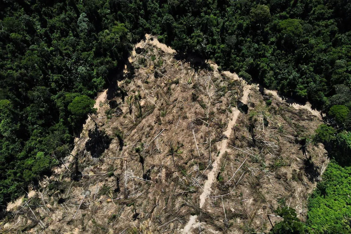 A view of a deforested area in the middle of the Amazon forest, near the BR-230 highway, known as Transamazonica, in the municipality of Uruara, Para, Brazil, July 14, 2021. REUTERS/Bruno Kelly/File Photo