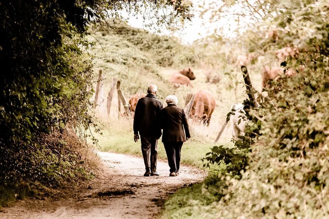 Can AI financial advice help you retire more comfortably?