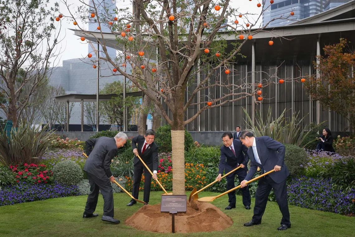Photo : MDDI

Senior Minister Lee Hsien Loong did site visits and participated in the tree planting ceremony today, 25 November 2024 in Suzhou.