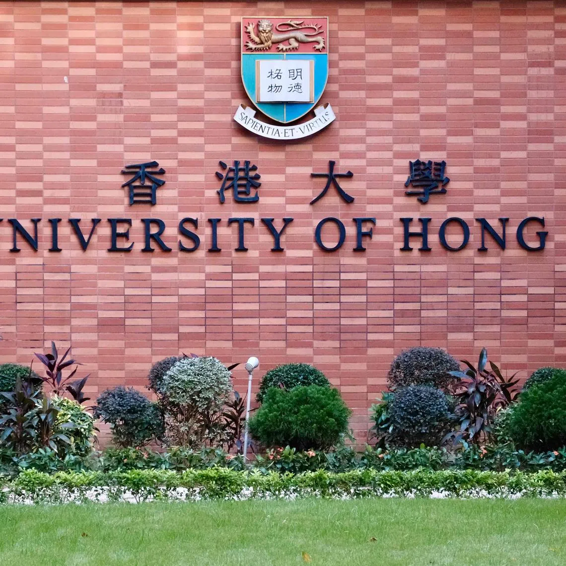 Latest Pornography | The Straits Times