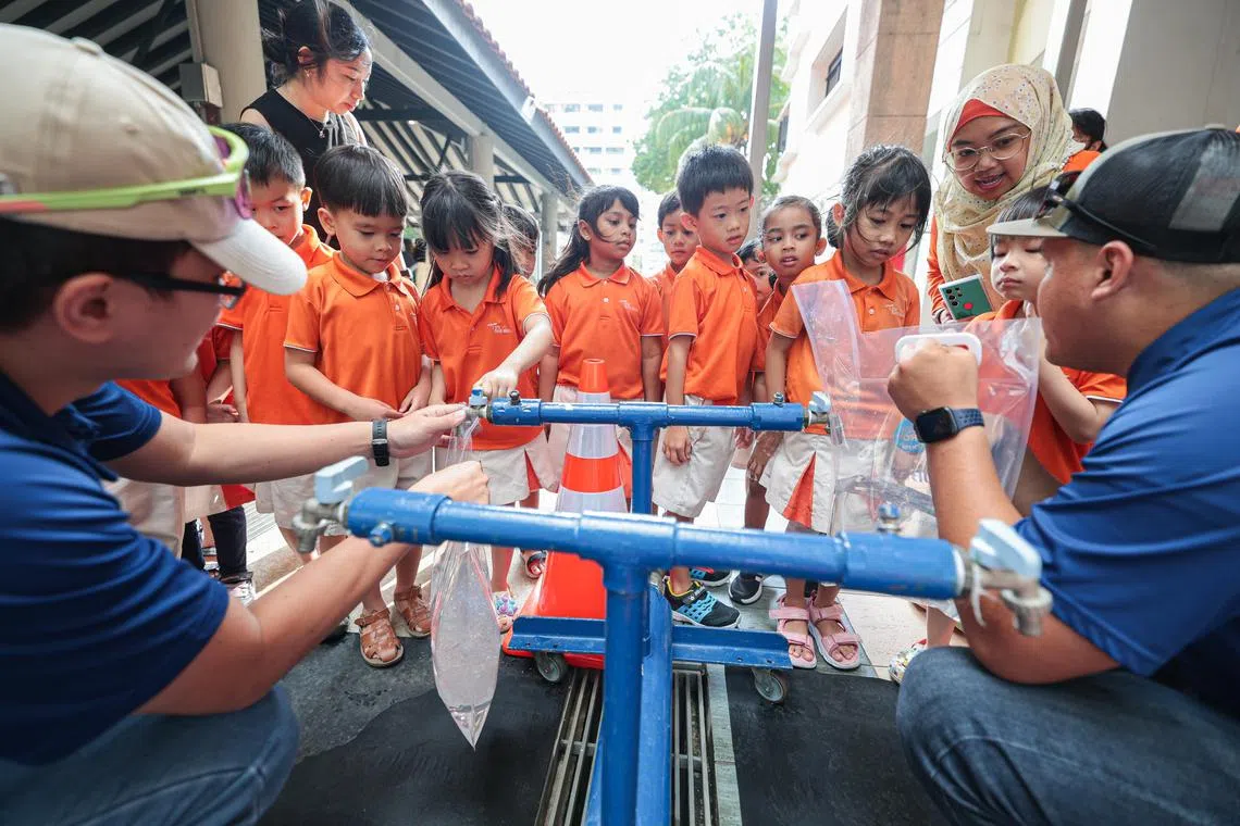 Educating children about sustainability may be a daunting task as they may not have the literacy skills or awareness to grasp complex topics.