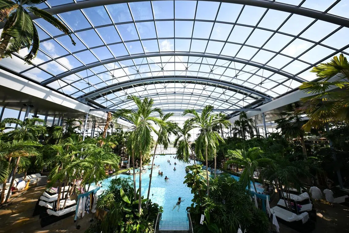 The aquamarine main pool surrounded by palms in Therme Bucharest.