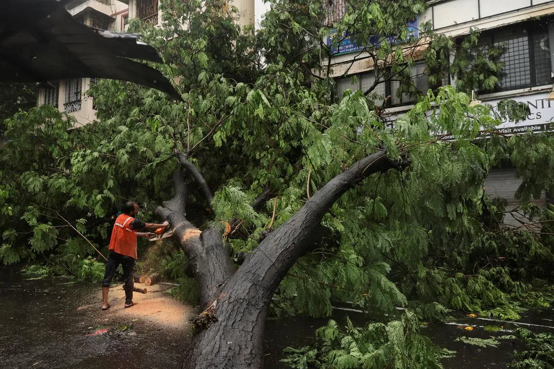 A worker clearing a fallen tree after heavy rainfall in Mumbai, India, on July 5, 2026.
