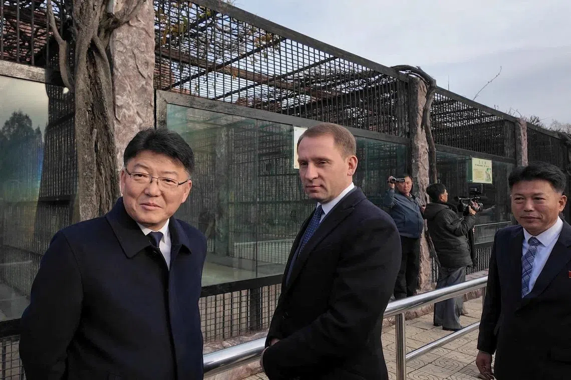 Russian Natural Resources Minister Alexander Kozlov visits the city central zoo during an official transfer of more than 70 animals from Russia to North Korea within the framework of the countries' bilateral cooperation in Pyongyang, North Korea, in this picture released November 20, 2024. Press Service of Ministry of Natural Resources and Environment/Handout via REUTERS
