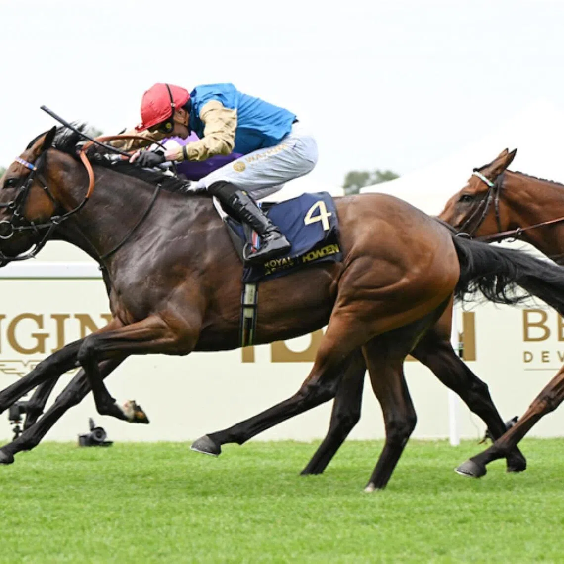 Earth Shot (James Doyle) finishing better than Johanna Walsh (Dylan Browne McMonagle) in the Group 2 Ribblesdale Stakes (2,400m) at Royal Ascot on June 18. The pair renew their rivalry in the Group 1 Irish Oaks (2,400m) at The Curragh on July 18.

PHOTO: RACING AND SPORTS