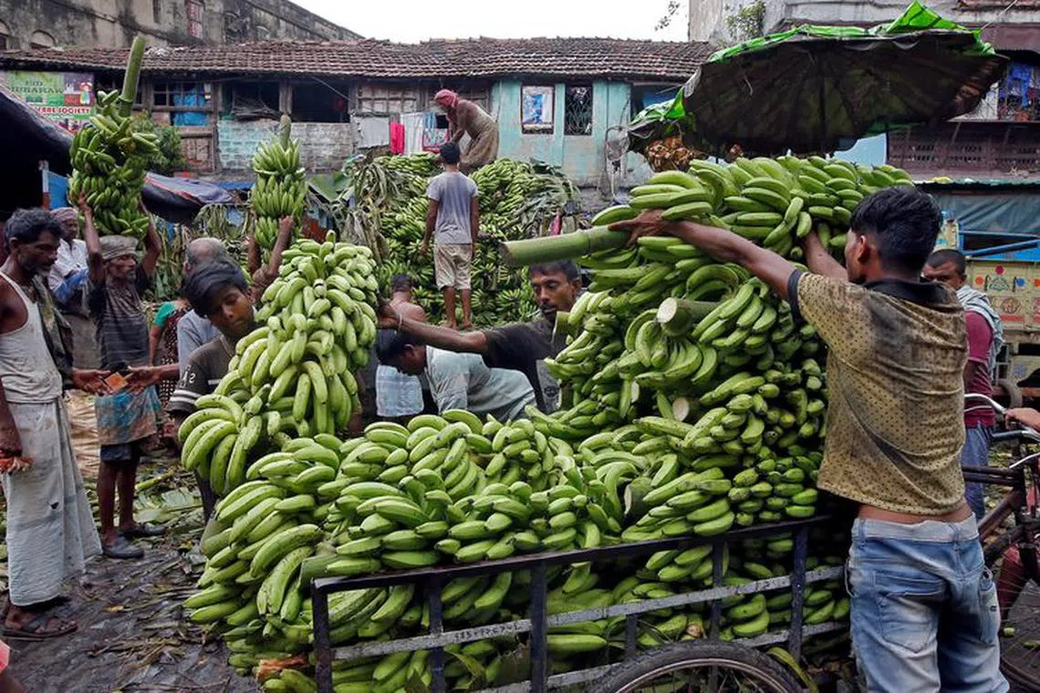 Labourers load bananas into a trishaw to transport them for sale at a wholesale fruit market in Kolkata, India, August 29, 2018. REUTERS/Rupak De Chowdhuri