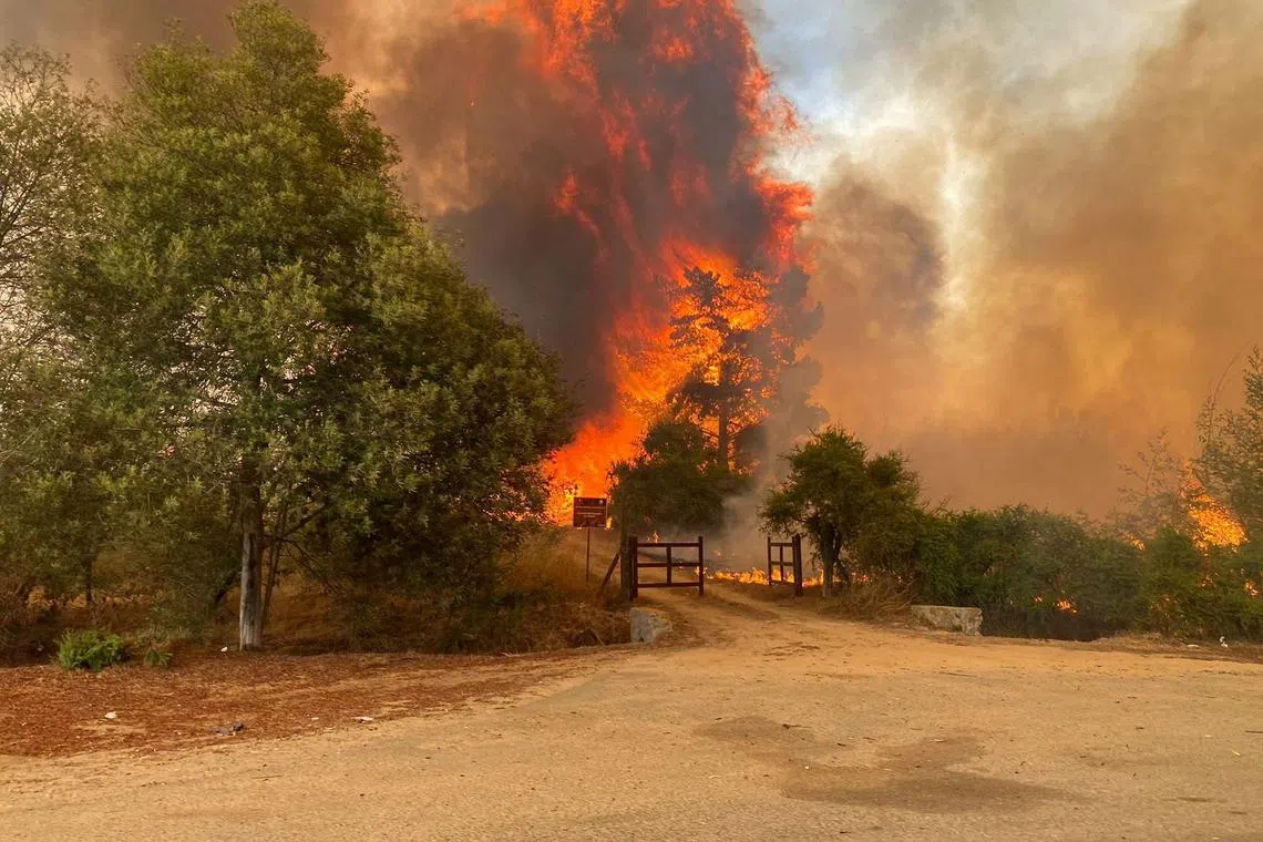 Fire and smoke rise as a wildfire burns near the Lago Penuelas National Reserve, in Valparaiso region, Chile, on Feb 2, 2024.