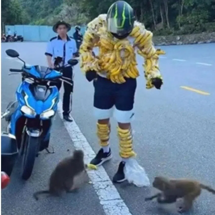 Images and videos circulated online showed a foreign visitor wrapping several ripe bananas around his body.