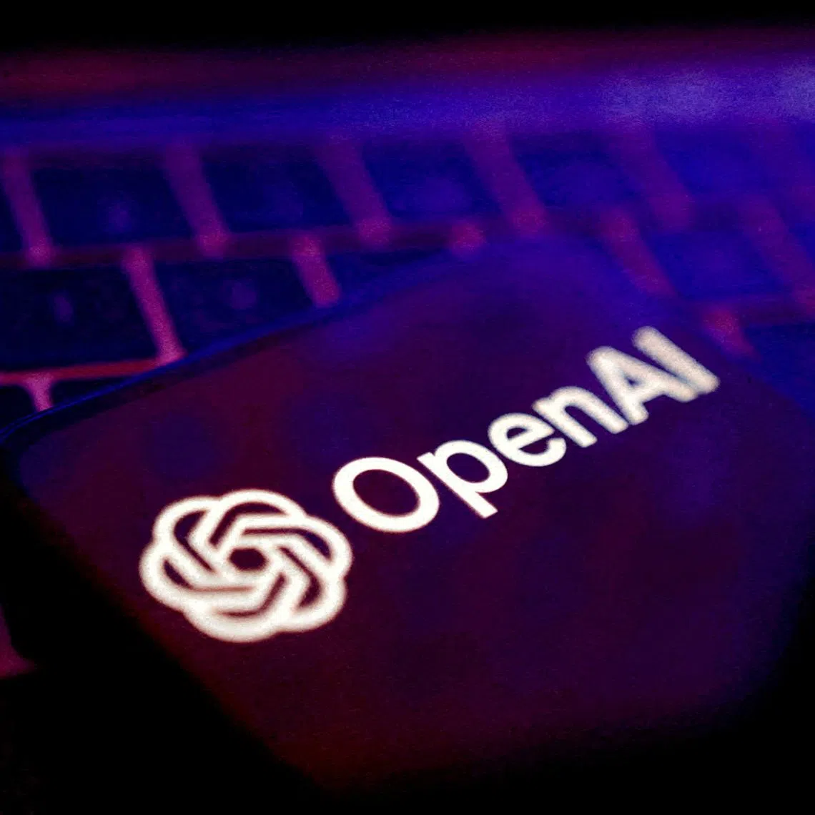 FILE PHOTO: OpenAI logo is seen in this illustration taken May 20, 2024. REUTERS/Dado Ruvic/Illustration/File Photo