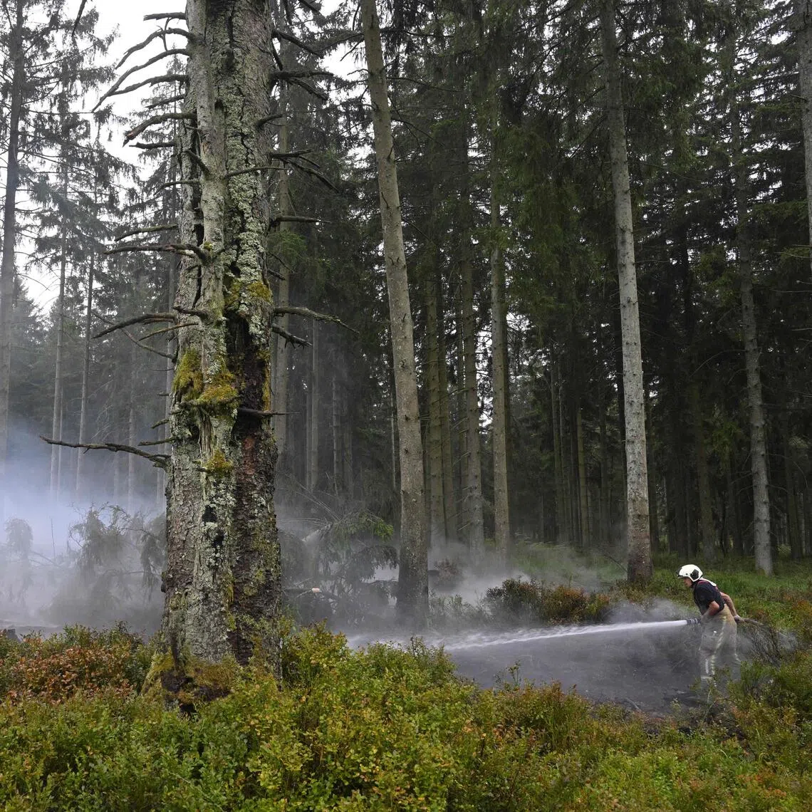 A firefighter sprays water from a hose during operations against a wildfire at a nature reserve in Belgium on Aug 18.