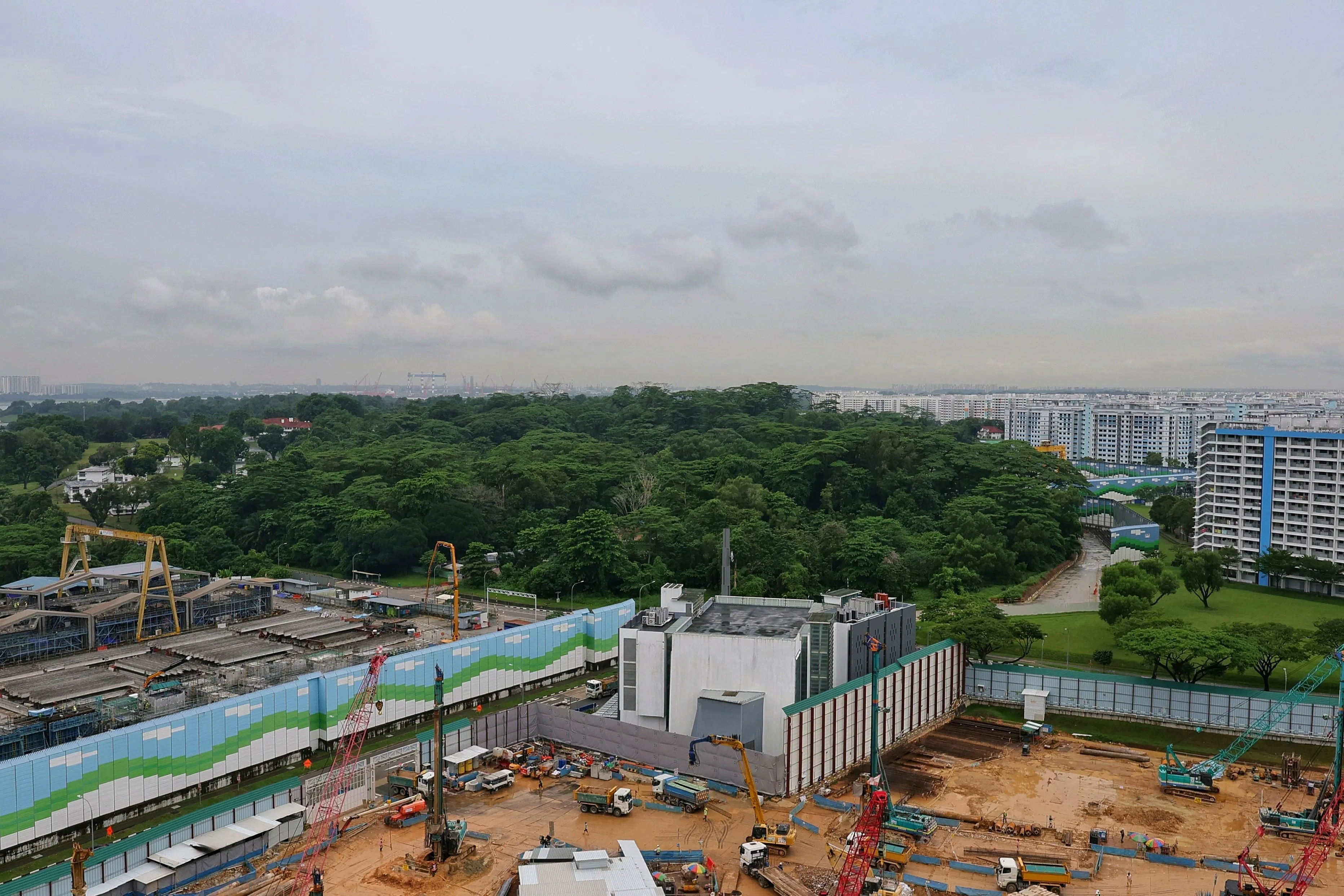 The Sembawang North forest (N5 plot) as seen from 491 Admiralty Link on June 22.
