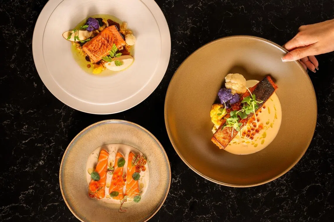 Akaroa salmon dishes on VUE Bar & Grill's spring menu. 