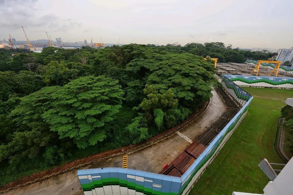 The Sembawang North forest (N5 plot) as seen from 513 Wellington Circle on June 22. Two environmental impact assessments commissioned by HDB were published on June 19. They revealed the environmental impact of developments in Sembawang and Tengah.