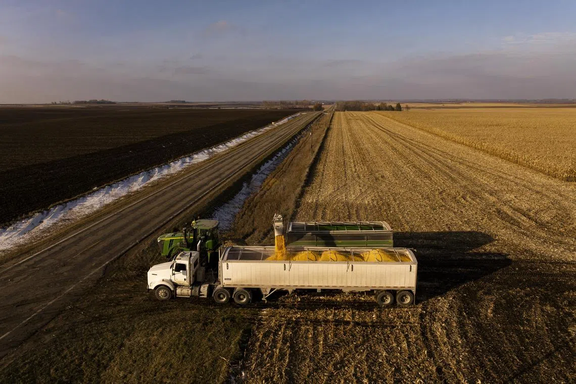 Farmers are bracing to lose money growing corn and soybeans, the nation’s biggest commodity crops.