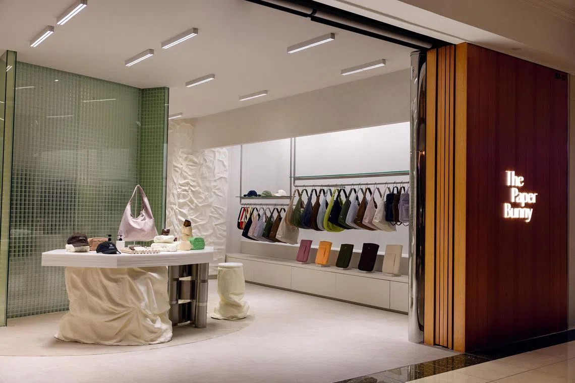 The Paper Bunny's The TPB Everyday Store.