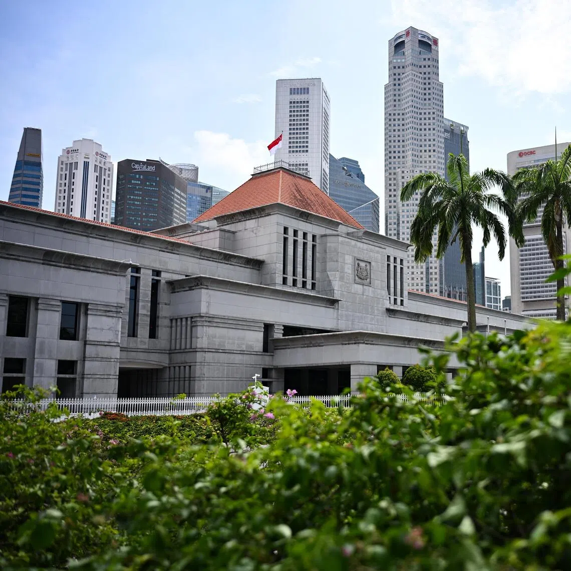 Names of the NMP candidates will be submitted to an eight-member Special Select Committee chaired by Speaker Seah Kian Peng.