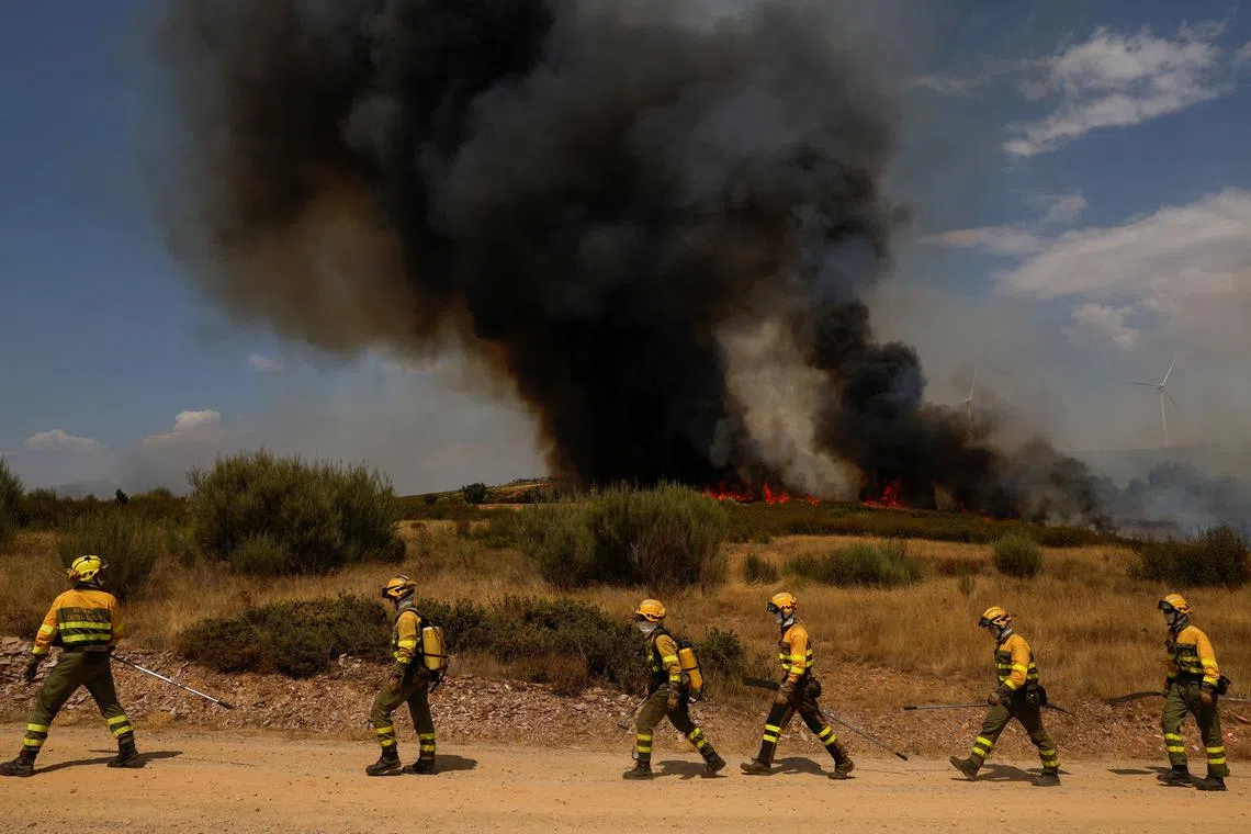 Firefighters walk at the scene of a wildfire on the outskirts of Abejera de Tabara, Zamora, Spain, August 13, 2025. REUTERS/Susana Vera