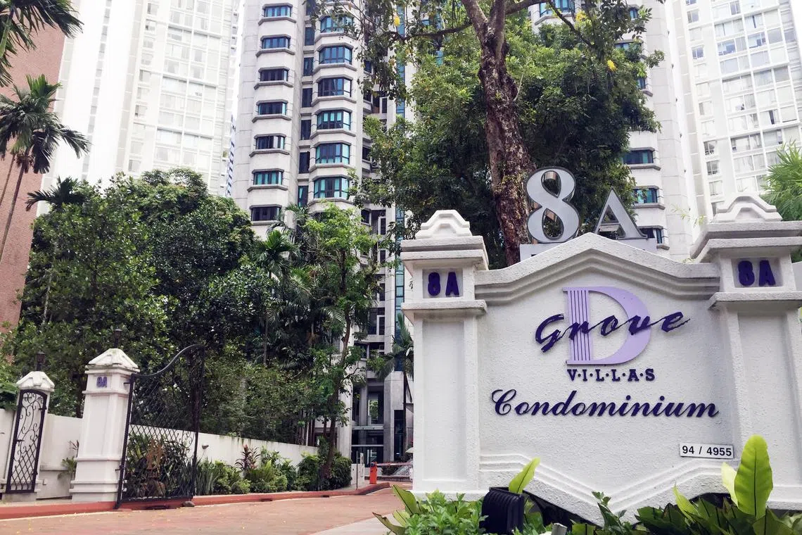 With an estimated site area of 50,400 sq ft, D’Grove Villas is 20 storeys high, and is within walking distance of the Orchard Road shopping belt.