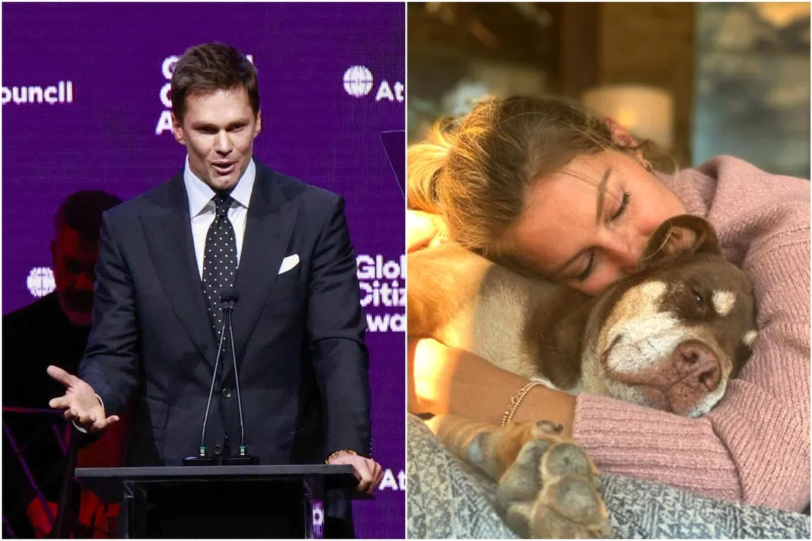 Junie is a clone of Lua (pictured), another dog Tom Brady and his ex-wife, Brazillian supermodel Gisele Bundchen, shared. Lua died in December 2023.