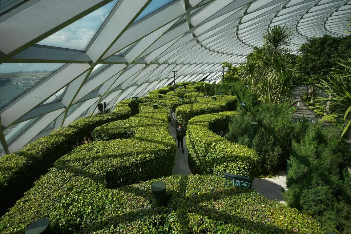 Canopy Park at Jewel Changi Airport features a confusing arrangement of hedges.