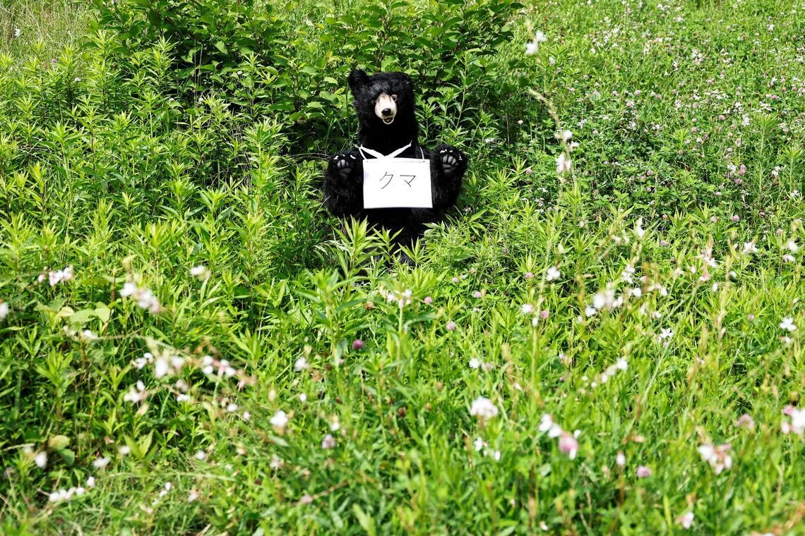 A resident found a bear in his kitchen after investigating a noise on the night of July 13.