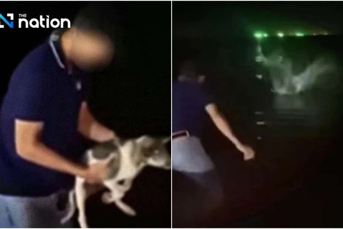 A video clip that went viral on Feb 7 shows a man picking up a puppy and throwing it with all his might into the sea. 