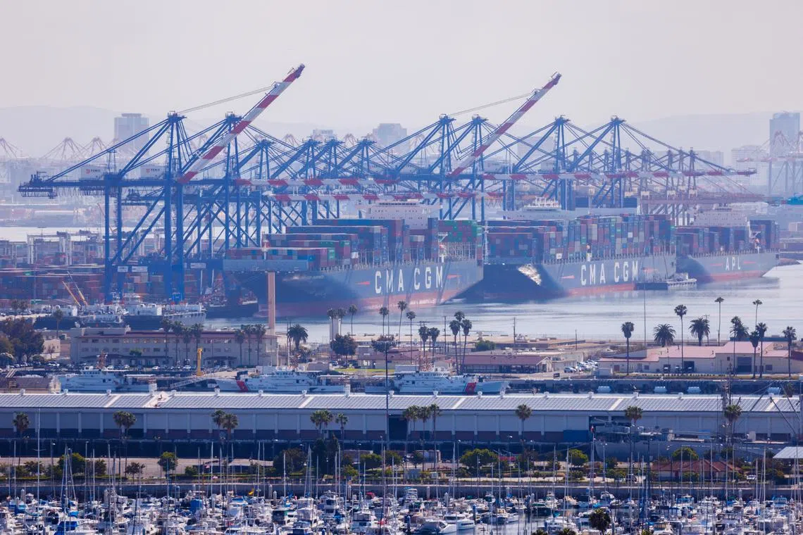 Container ships are shown at the Port of Los Angeles from San Pedro, California, U.S., June 23, 2023.   REUTERS/Mike Blake