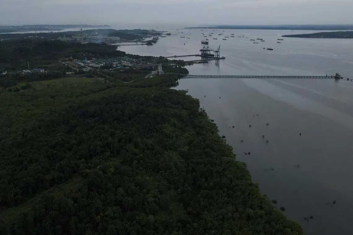 General view of mangrove area at Balikpapan Bay, one of nearby areas of Indonesia's projected new capital called Nusantara, in Balikpapan, East Kalimantan province, Indonesia, March 7, 2023. REUTERS/Willy Kurniawan