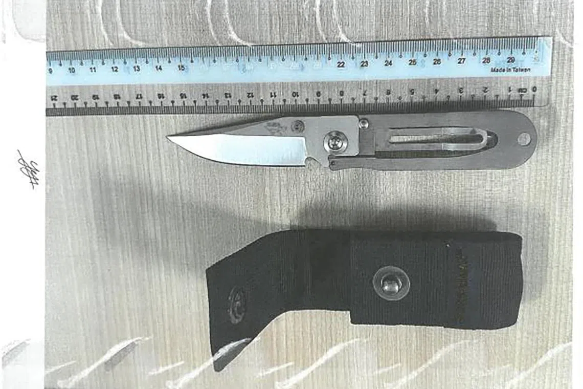 Yoji Amashiro pleaded guilty to one count of possession of a weapon in public and one charge of causing hurt to a public servant.