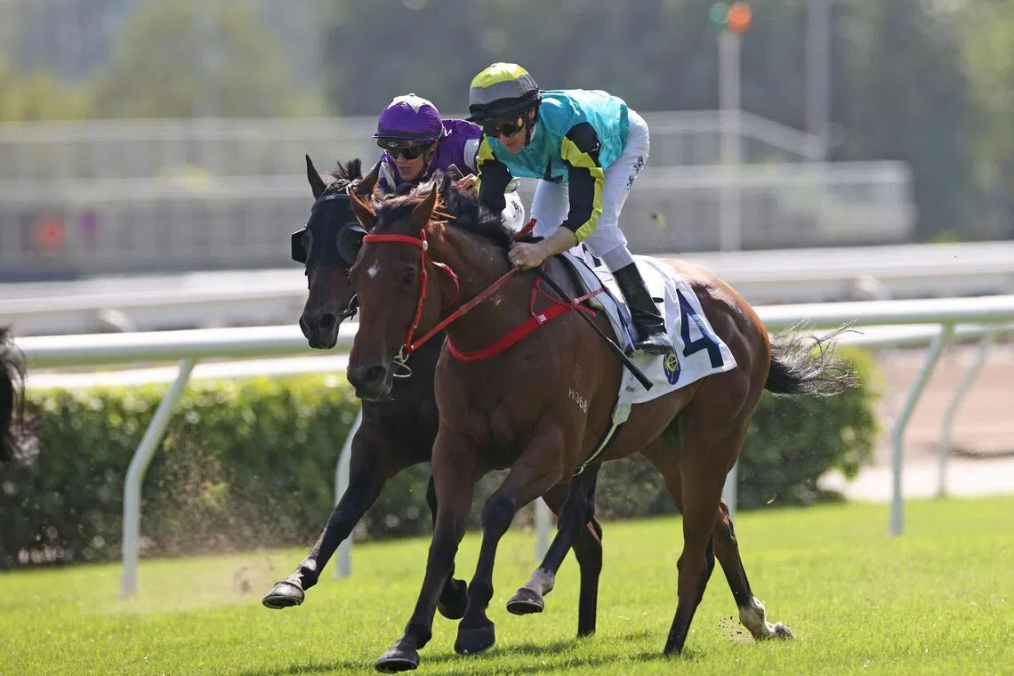 With Hong Kong superstar Ka Ying Rising out of the way, Raging Blizzard should be able to hold his own in the Group 3 Sha Tin Vase (1,200m) on May 31.