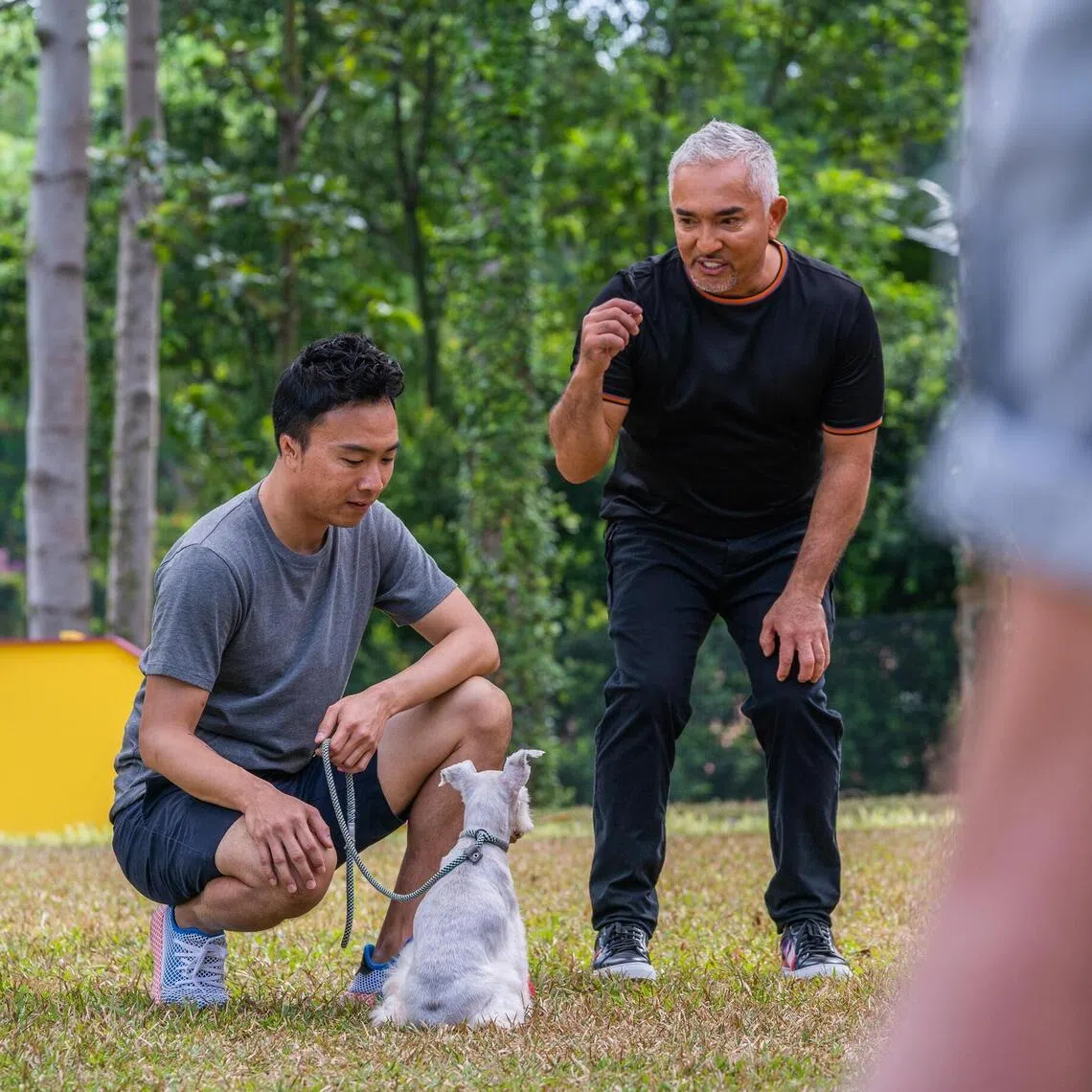 The sessions with Caesar Millan will offer participants “a rare opportunity to get up close with Cesar as he shares what it takes to understand your dog’s behaviour”.