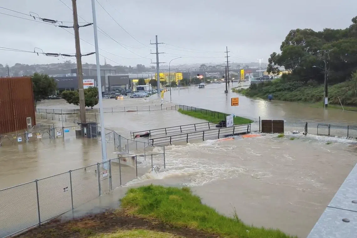 Auckland has seen 38 per cent of its annual rainfall this month alone, with January set to be its wettest month on record.