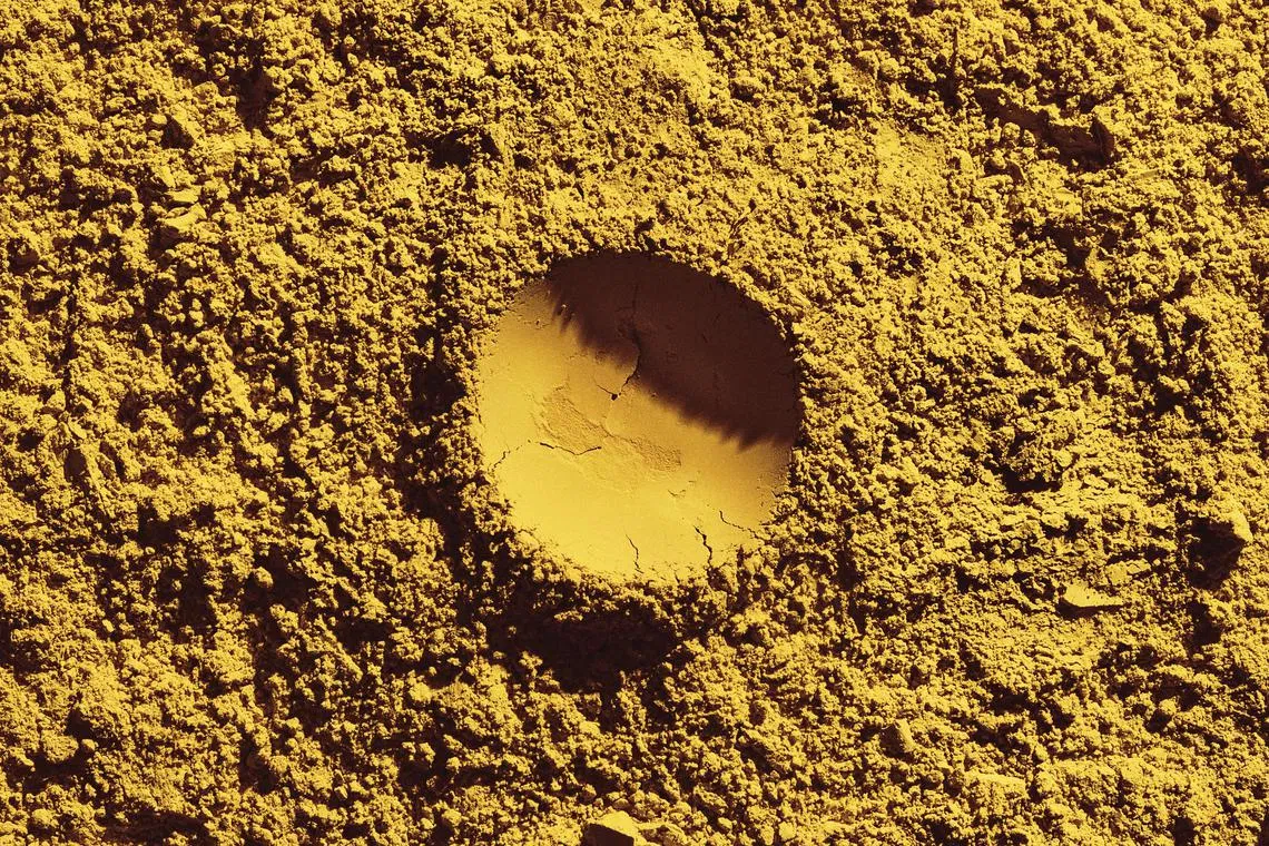 The Solein protein powder produced from air, water, electricity and microbes by Finnish start-up Solar Foods.