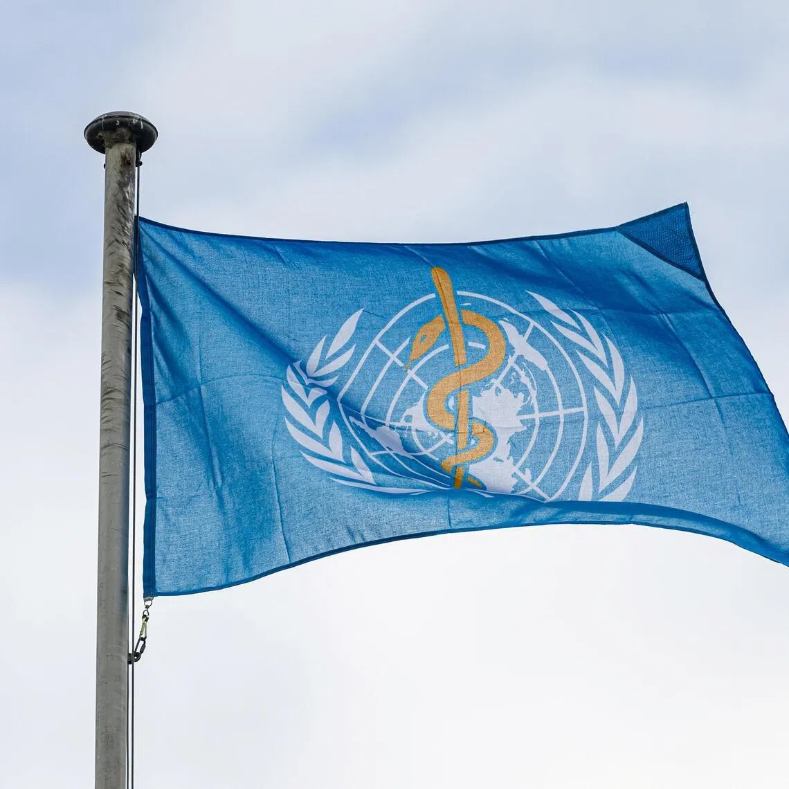 A deep disagreement persisted between wealthy and developing countries on how the Pathogen Access and Benefit-Sharing system would work in practice.