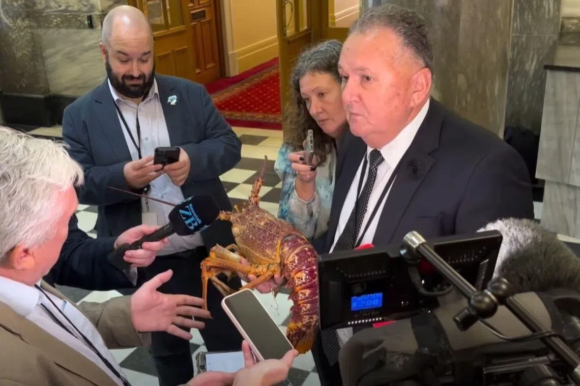 New Zealand's Fisheries Minister Shane Jones cradled the crustacean as he strolled through the lobby at New Zealand’s Parliament House.