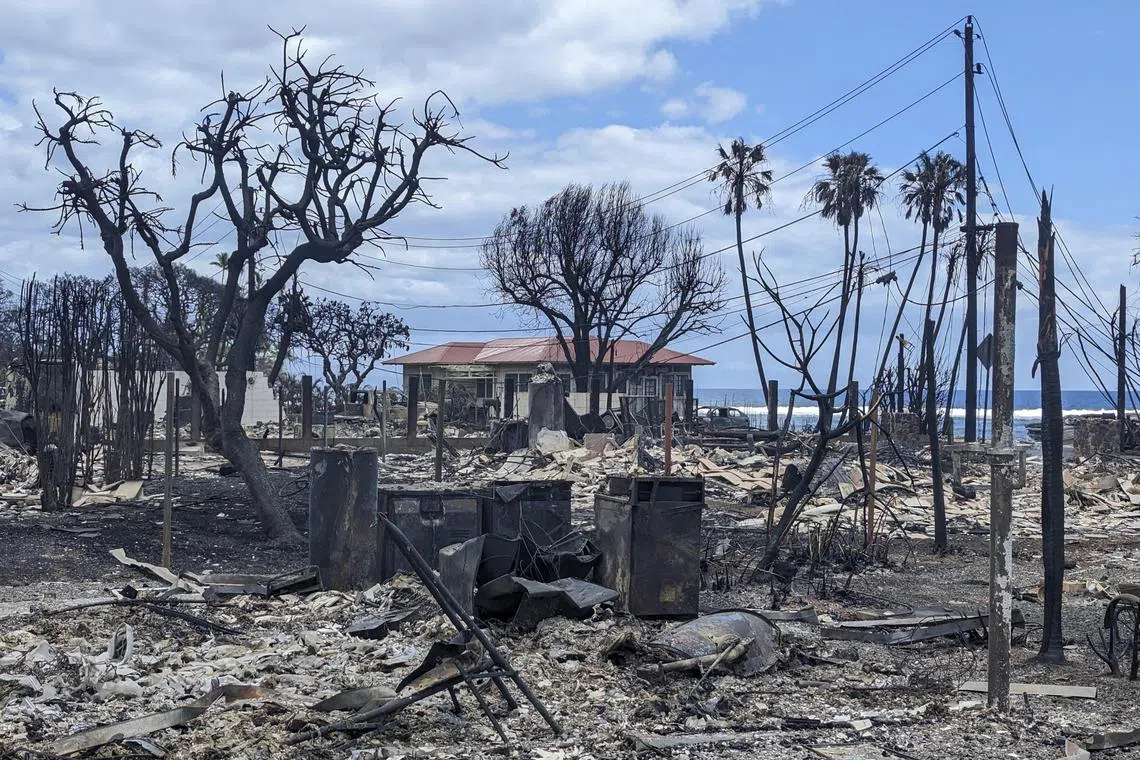 A neighborhood destroyed by wildfires in Lahaina, on the Hawaiian island of Maui, on Wednesday, Aug. 9, 2023. The fires, which had been largely contained as of Wednesday night, burned much of the historic town of Lahaina, which was once Hawaii’s royal capital. (Philip Cheung/The New York Times)