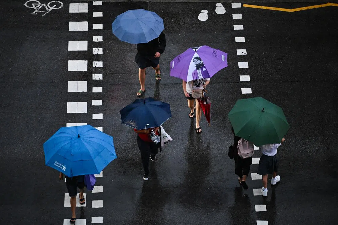 Wet weather is likely to continue in the first week of the coming fortnight, said MSS on Jan 16.