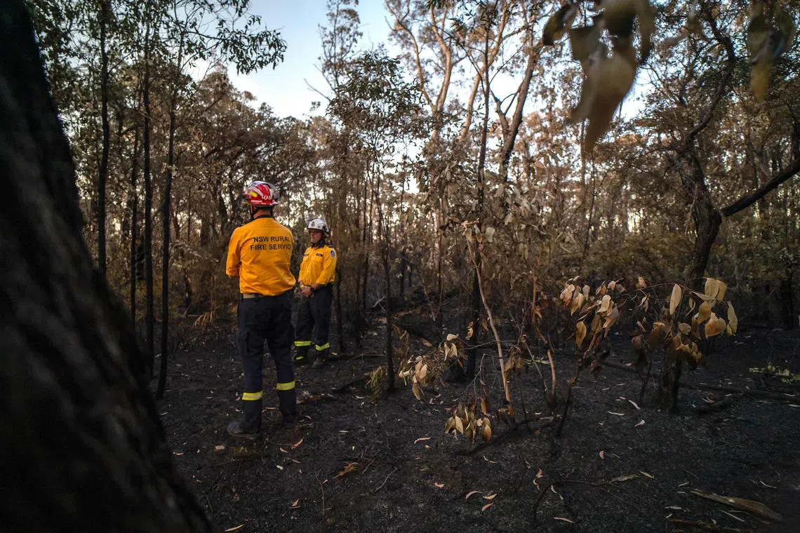 More than half of those surveyed said they believe Australia is not doing enough to preserve its endangered species, oceans and rivers and native forests.