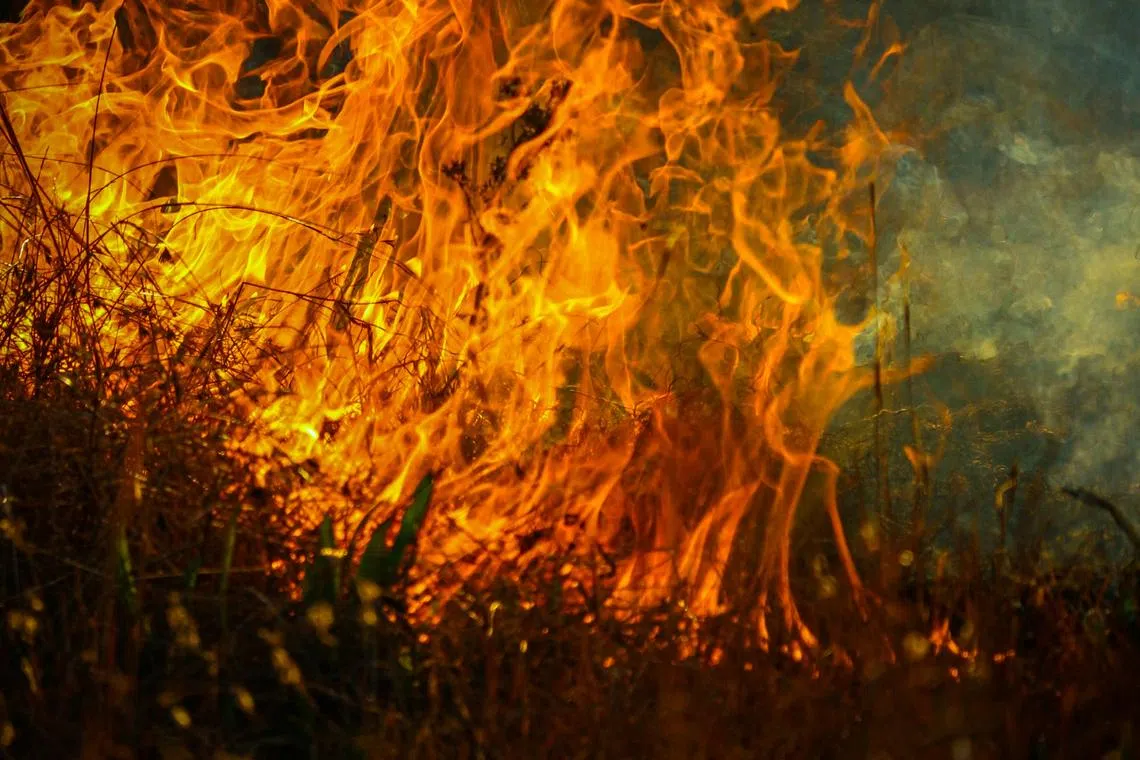 The fire broke out on May 27 in Babah Krueng village in Sawang district, where piles of logs and branches had accumulated along the banks of the Sawang River.