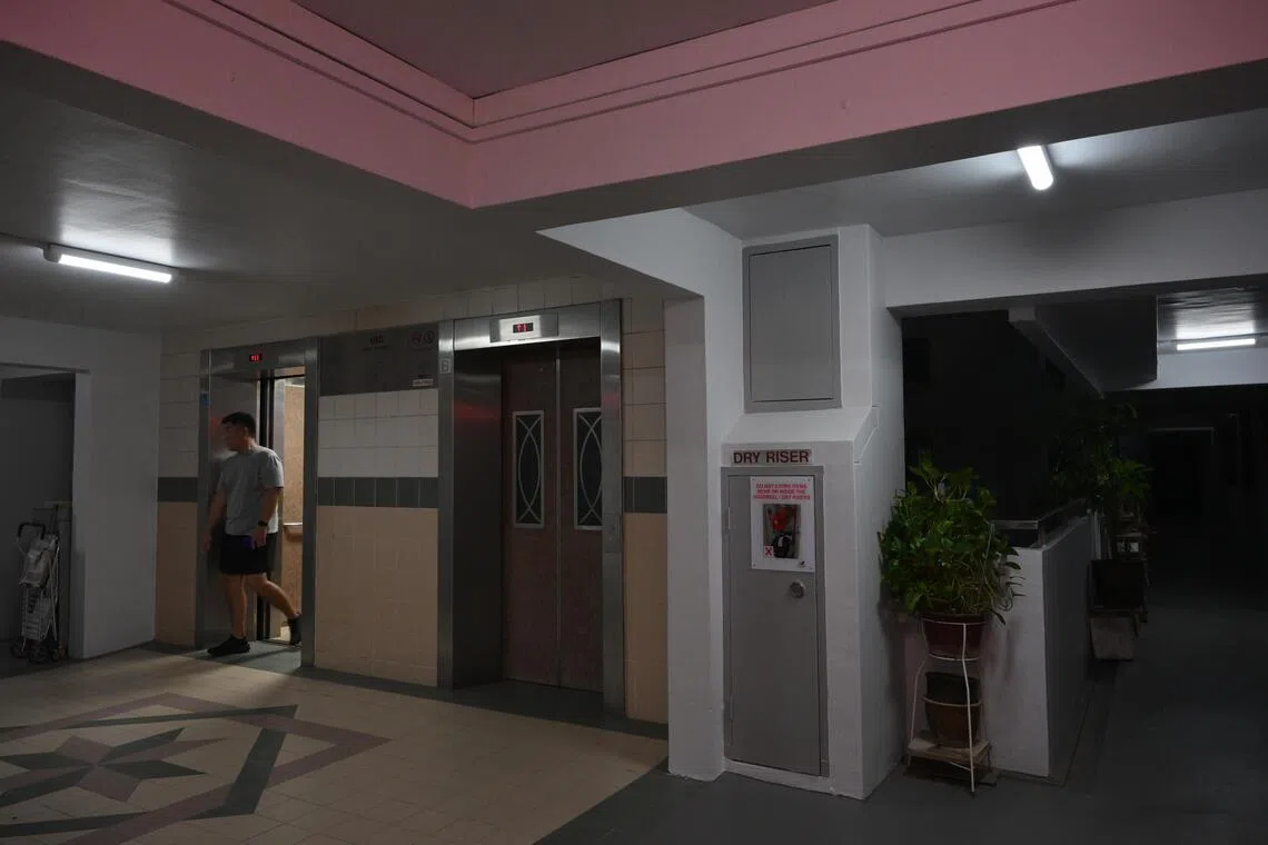 mwlight/ST20260330_202664800938/Ng Sor Luan/Taman Jurong CC had worked with a local lighting tech firm to improve smart light deployment, which led to a reduction in energy consumption by more than 70% and resulted in significant savings for the CC and the surrounding HDB blocks.

//

MP for the Taman Jurong division of West Coast-Jurong West GRC Shawn Huang .