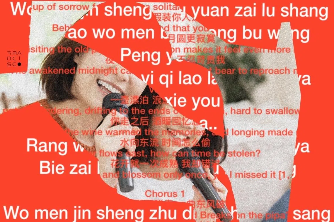 The writer hopes to get her family used to watching Chinese-language shows, reading Chinese books at bedtime and conversing with others in Mandarin... eventually.