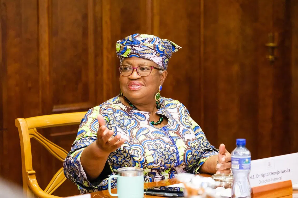 WTO Director General Ngozi Okonjo-Iweala speaks to the media at the 2023 WTO Public Forum in Geneva.



Credit WTO
